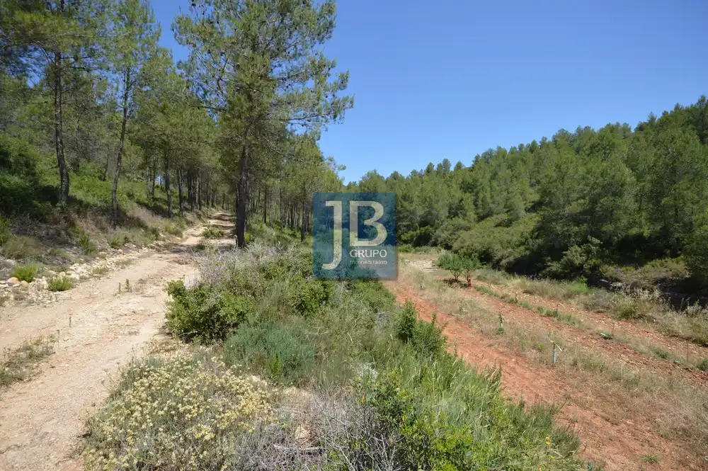 Finca rústica en venda en Mogente / Moixent, Valencia
