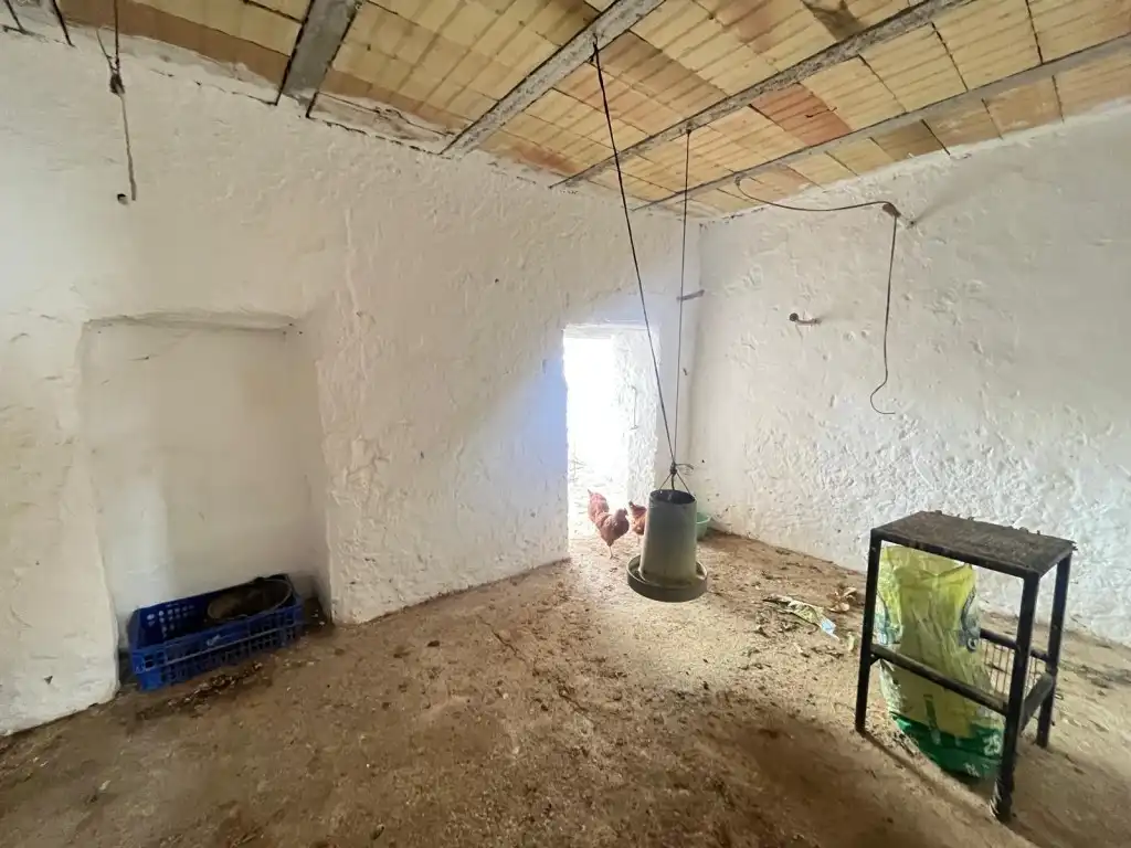 Finca rústica en venta en Canillas de Aceituno con Terraza