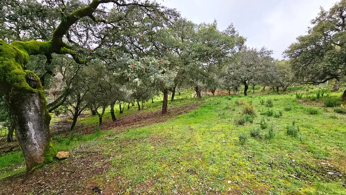 Finca rústica en venta en Santa Ana la Real con Calefacción, Jardín privado y Terraza