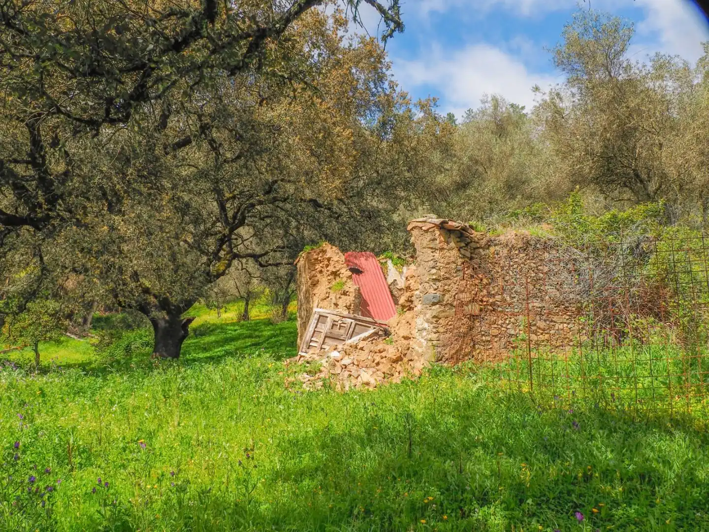 Land for sale in Linares de la Sierra