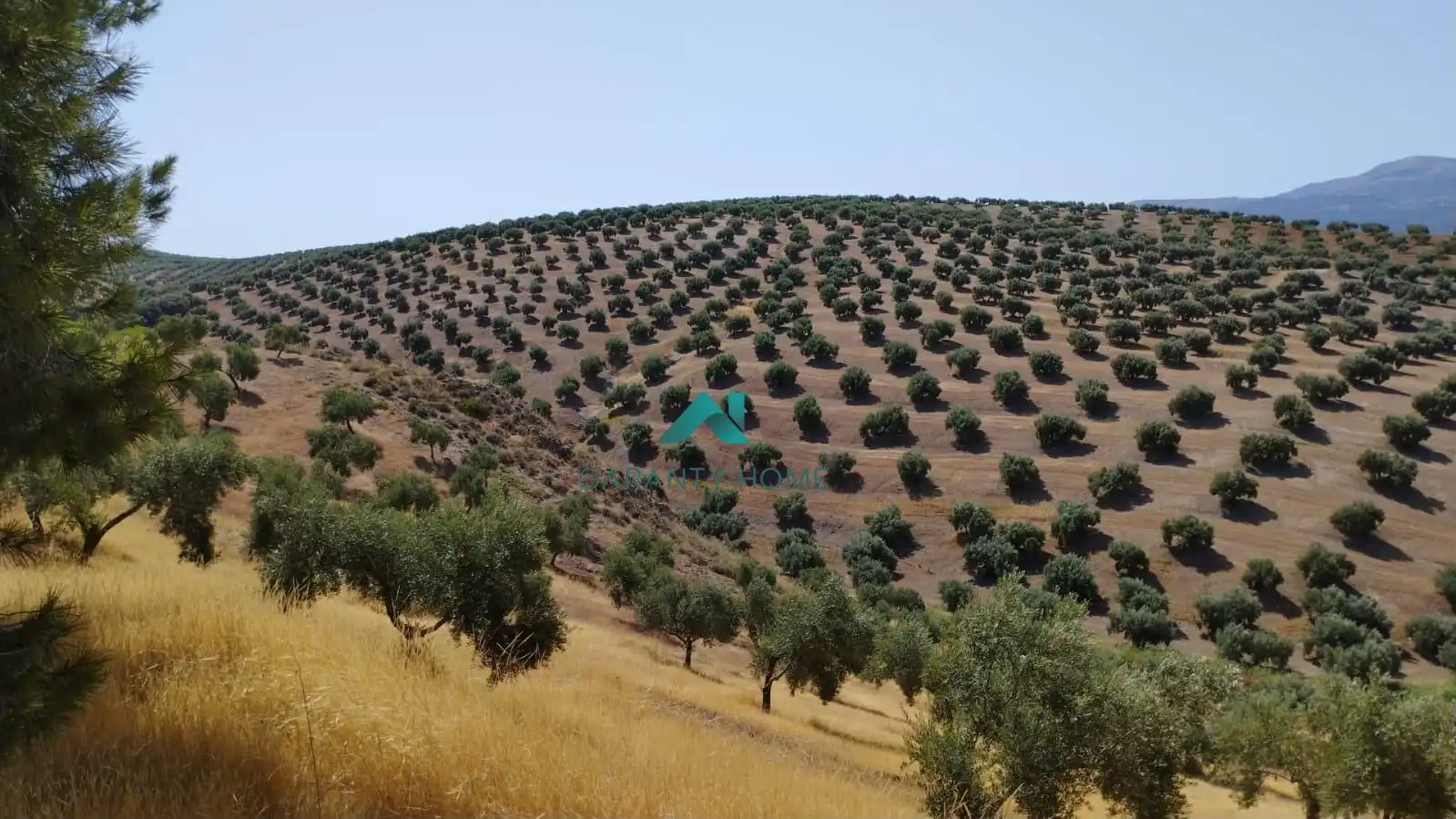 Terreni e lotti in vendita a Torredelcampo, imagen 2