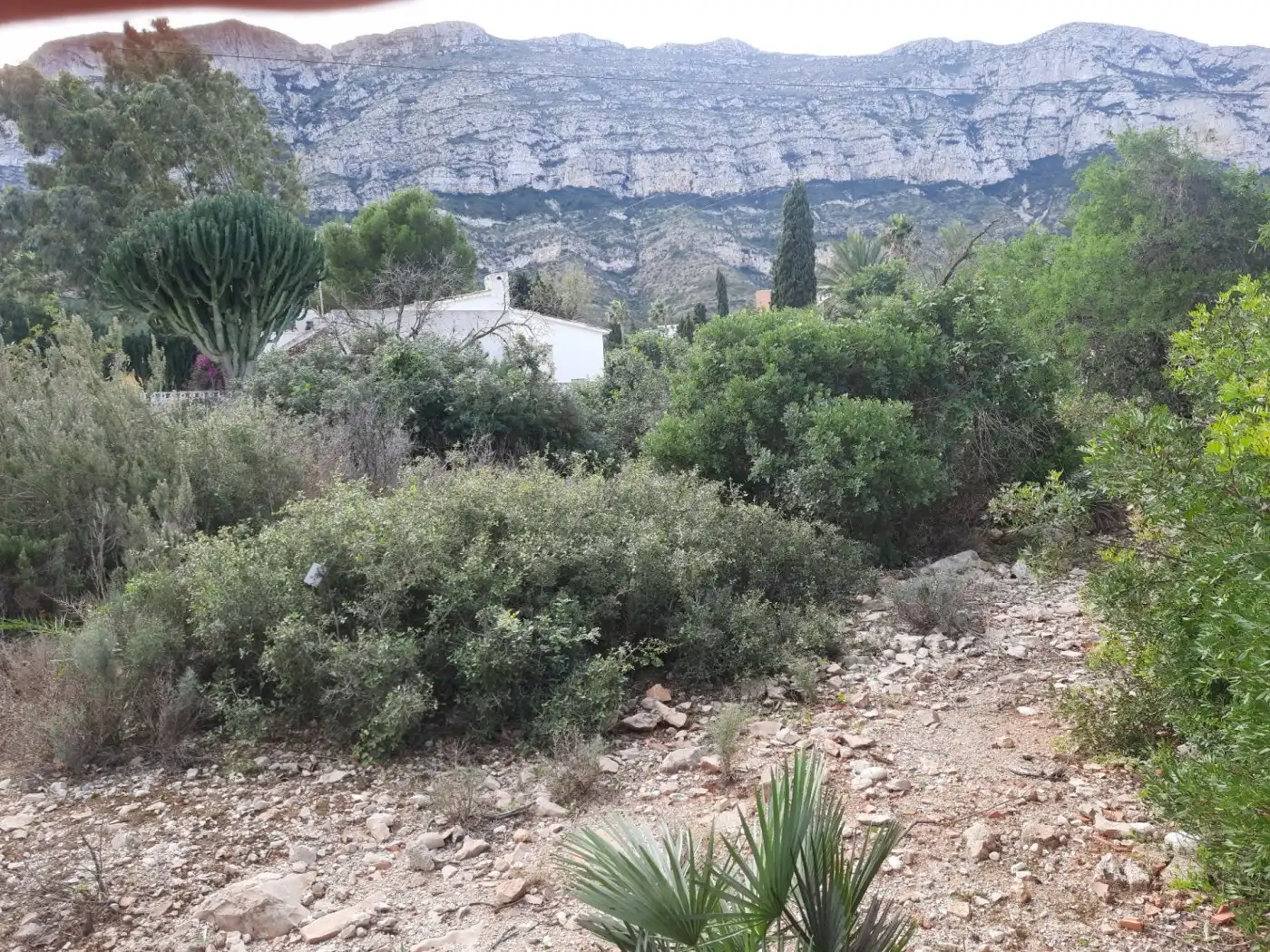 Terreni e lotti in vendita a El Montgó, imagen 8