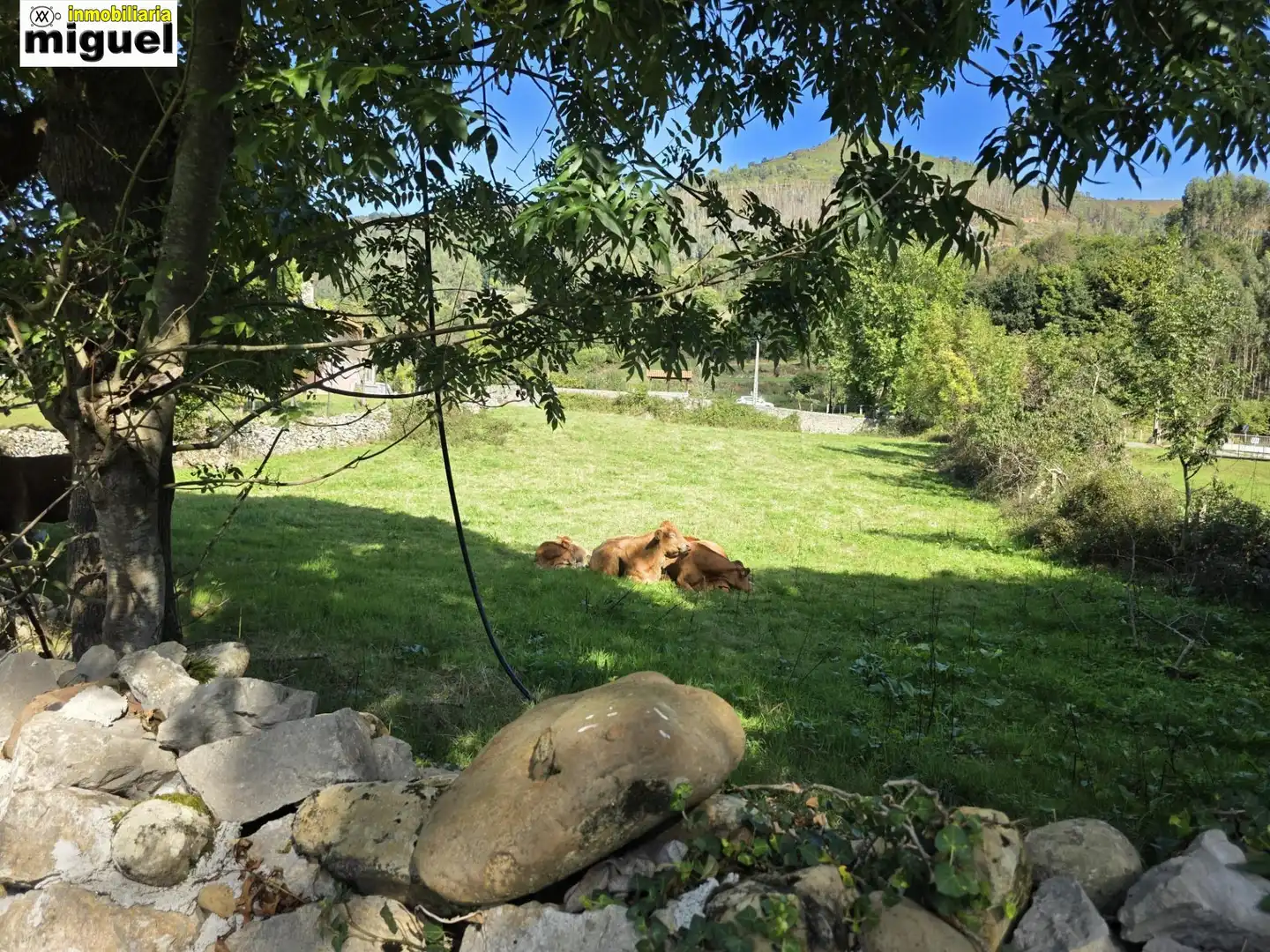 Terreni e lotti in vendita a Celis, imagen 15