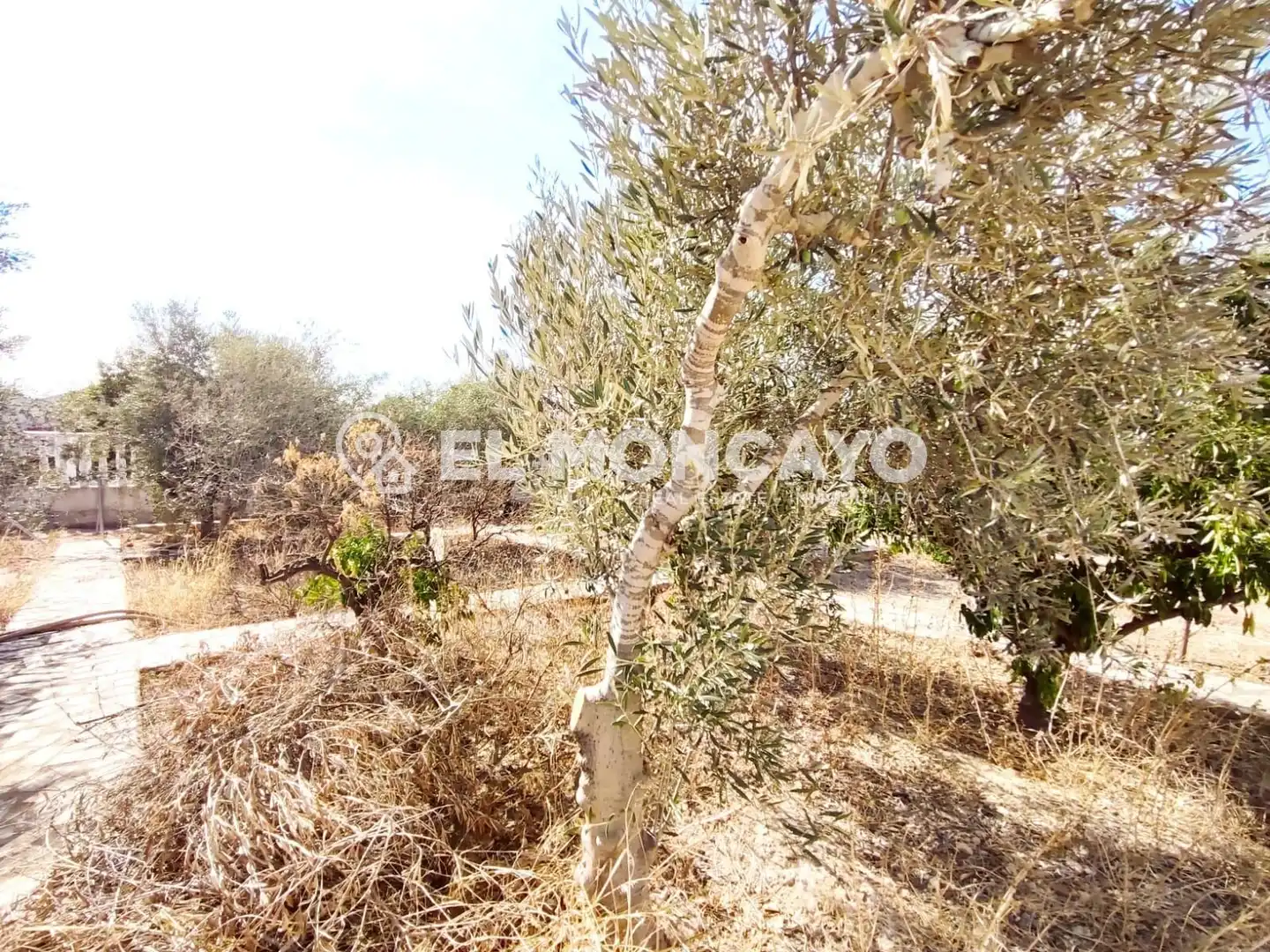 Residencial en venda en Rojales