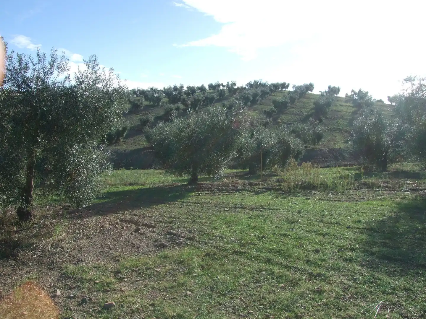 Terreno en venta en Calzadilla de los Barros