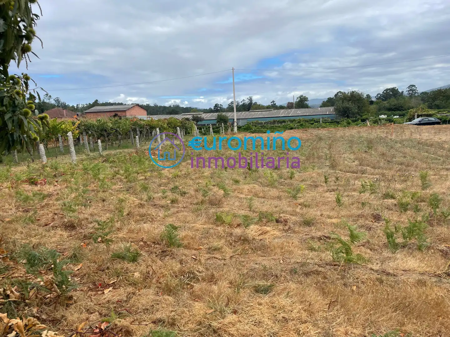 Residencial en venta en Salvaterra de Miño