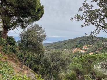 Terreni e lotti in vendita a Serra Brava