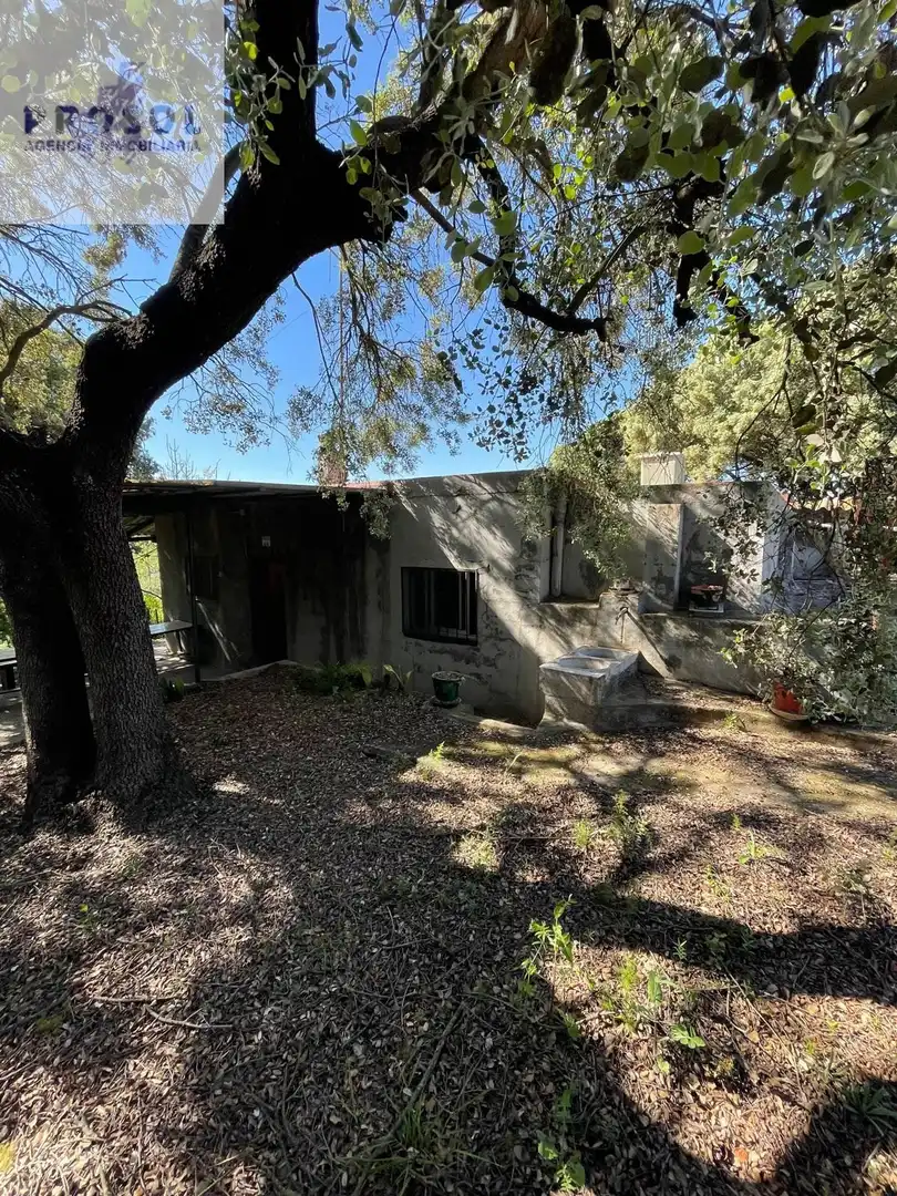 Vista exterior de Finca rústica en venta en Vilafamés