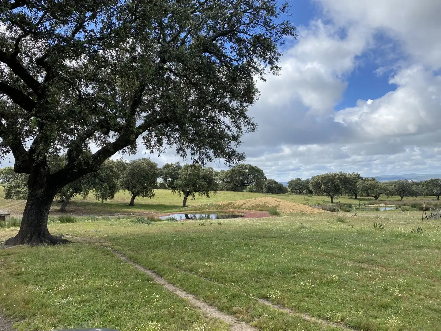 Terreno en venta en Deleitosa