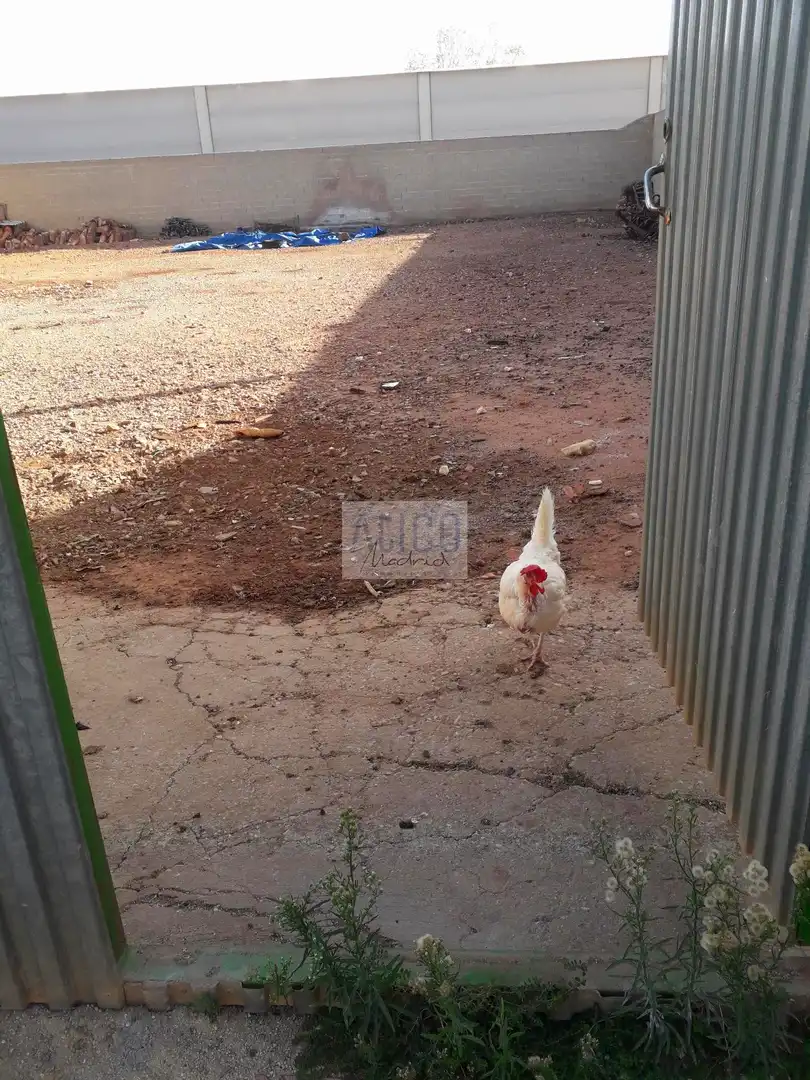 Vista exterior de Residencial en venda en Cózar