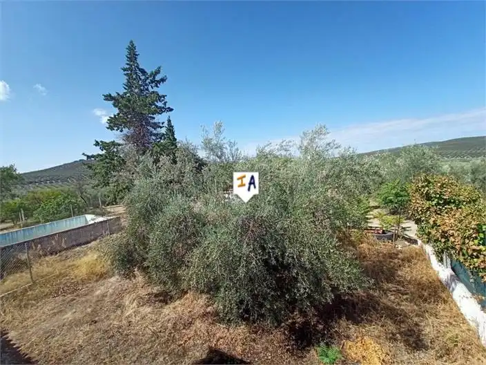 Finca rústica en venta en Cabra