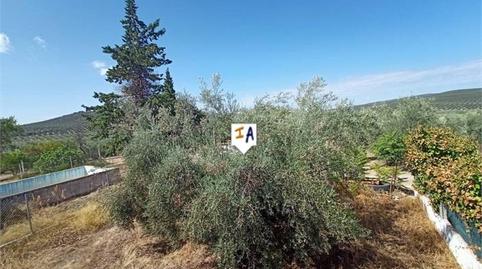 Foto 3 de Finca rústica en venta en Cabra, Córdoba