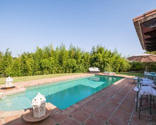 Swimming pool of House or chalet to rent in Benahavís  with Air Conditioner and Terrace