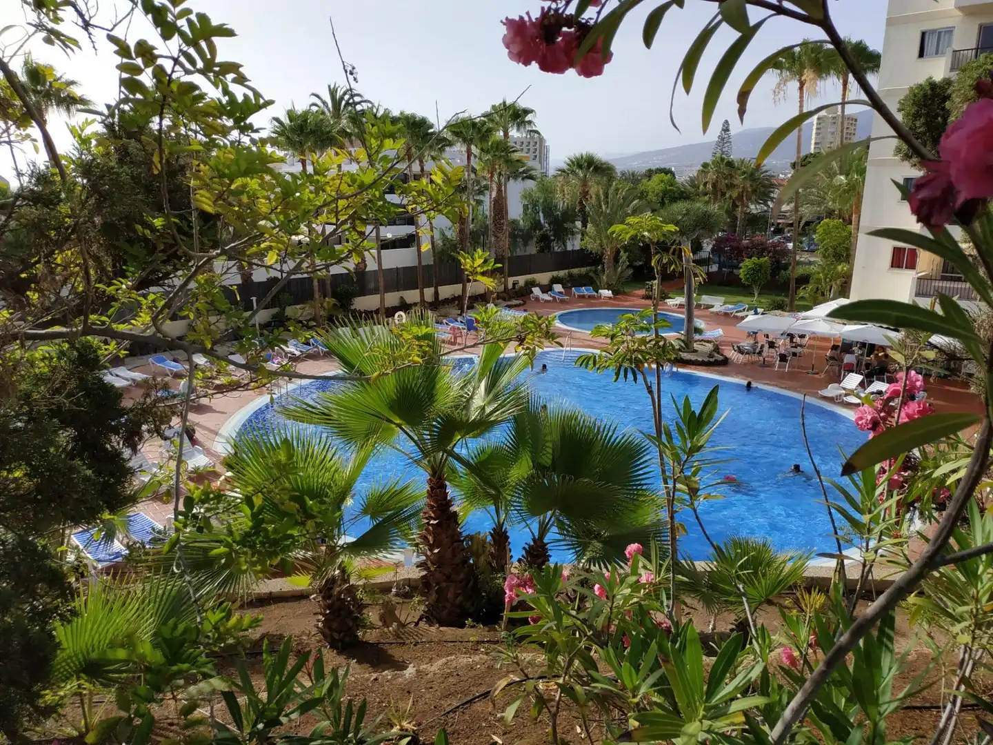 Garten von Wohnung zum Verkauf in Arona mit Terrasse