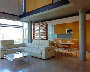 Living room of Flat to rent in  Madrid Capital  with Air Conditioner, Heating and Terrace