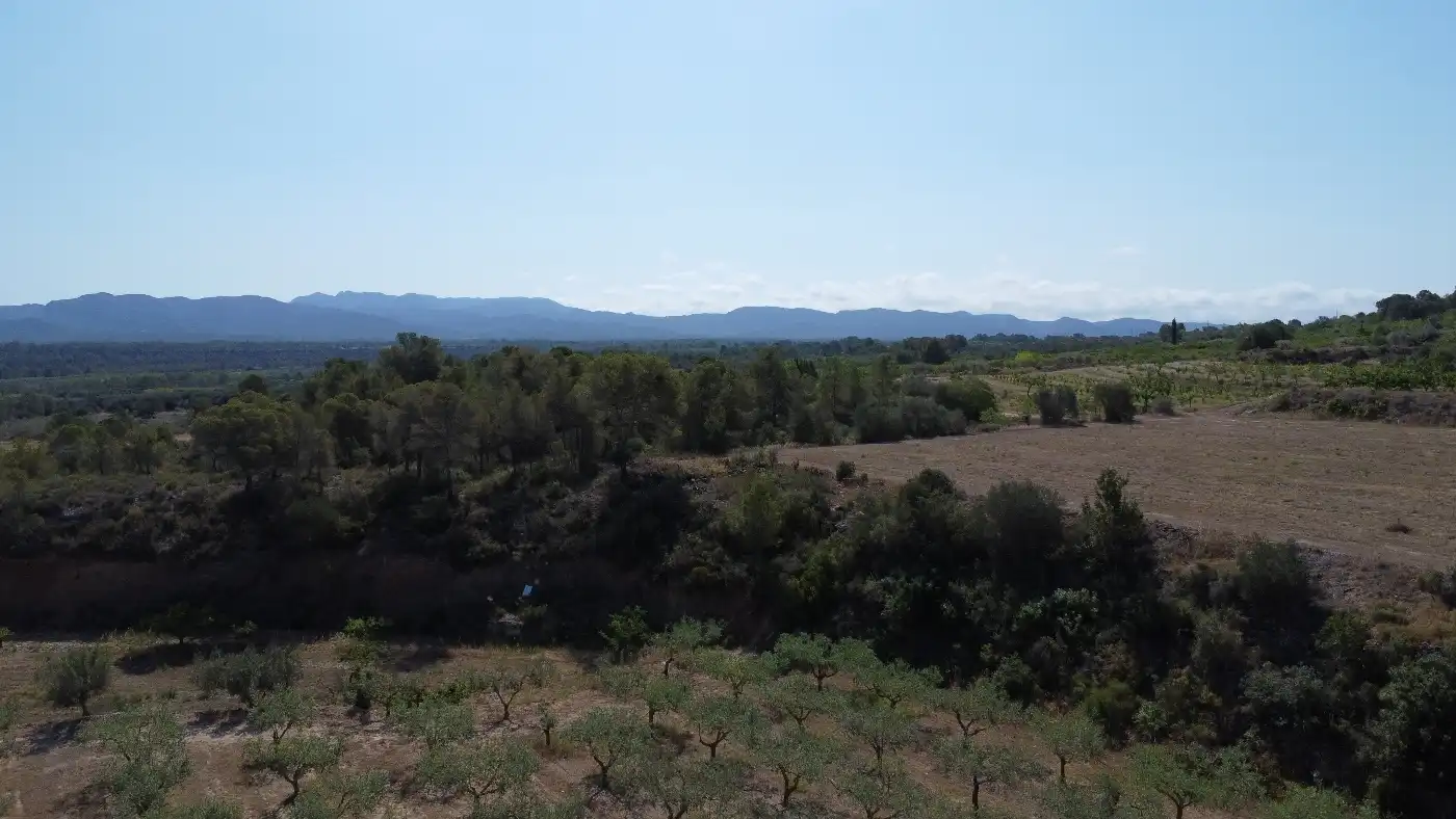 Finca rústica en venda a Miravet