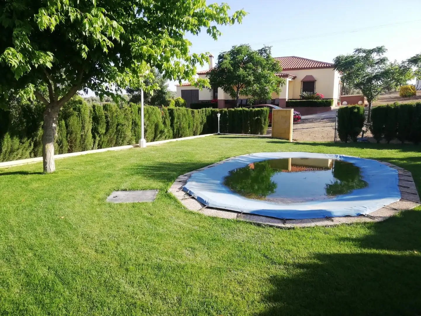 Piscina de Finca rústica en venda en Berlanga amb Aire condicionat, Jardí privat i Piscina