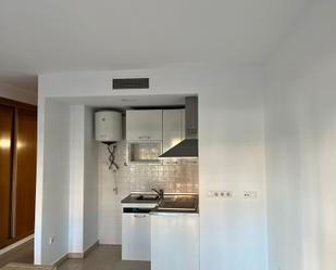 Kitchen of Loft for sale in  Murcia Capital