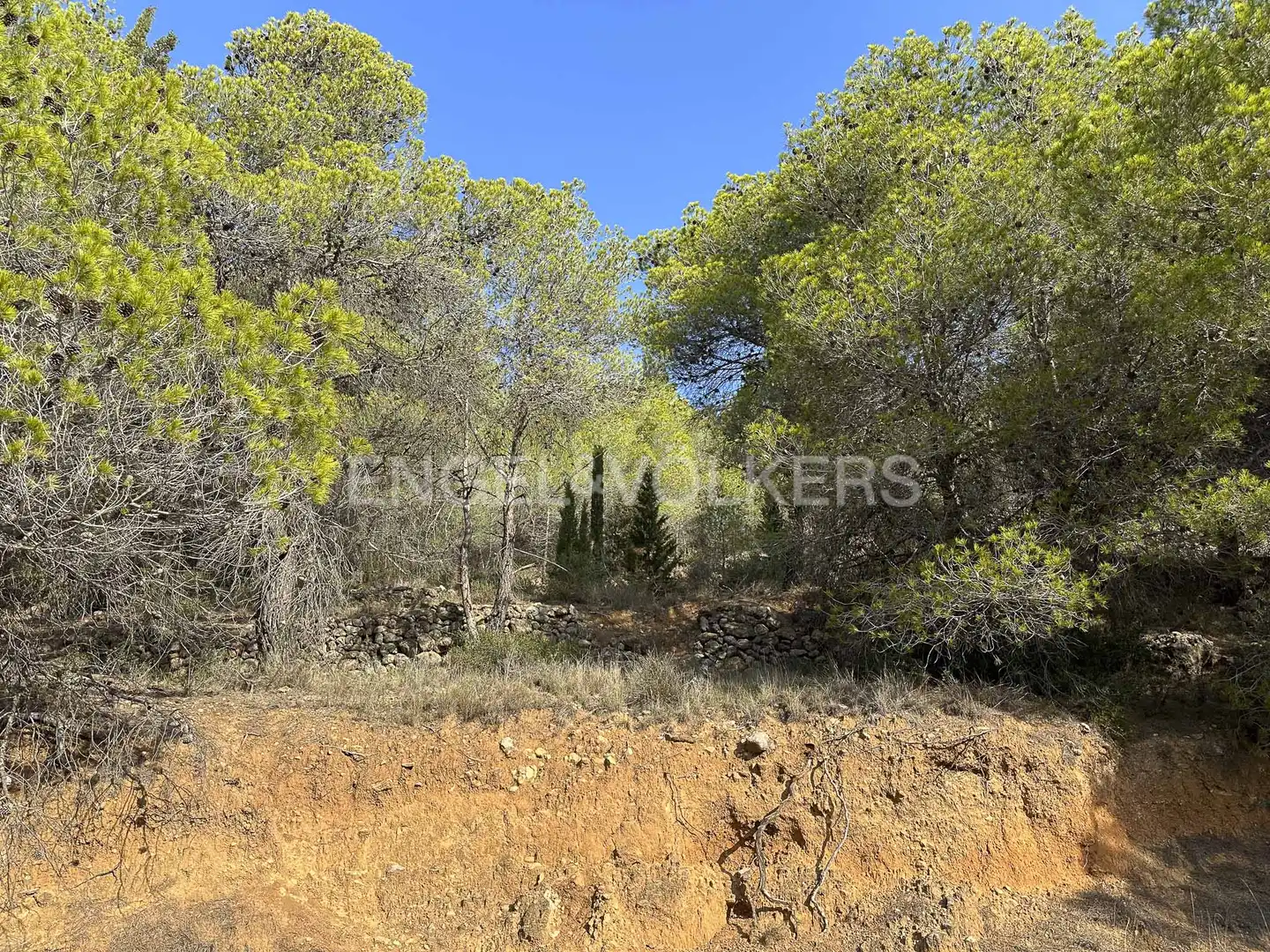 Residential land for sale in Torrelles de Foix, imagen 25