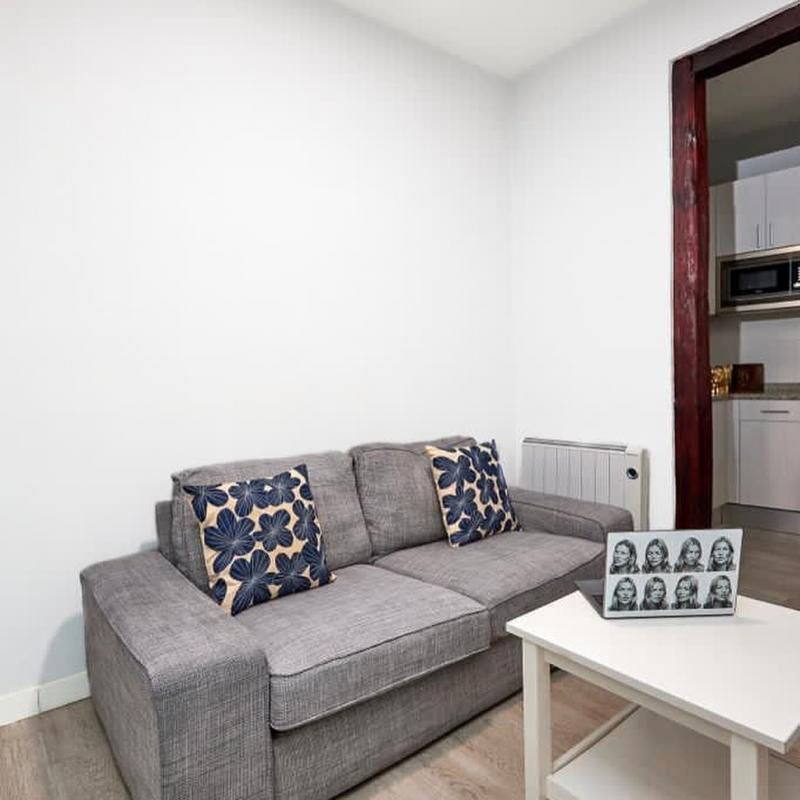 Sala d'estar de Apartament de lloguer en  Madrid Capital amb Aire condicionat, Moblat i Es permeten mascotes