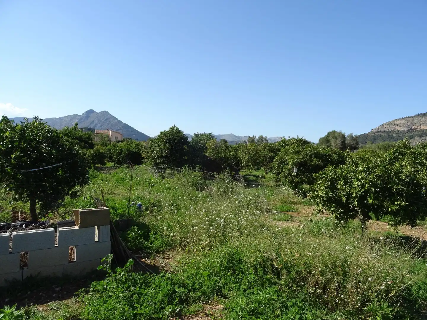 Terreny residencial en venda a Alcalalí, imagen 5