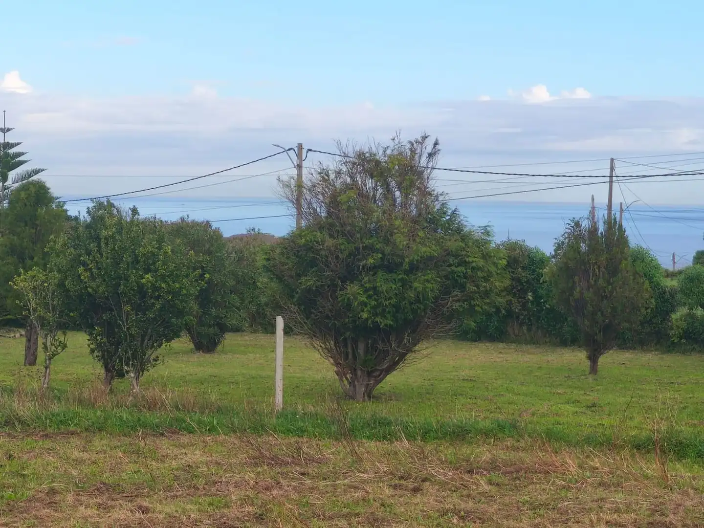 Terreno en venta en Ferrol