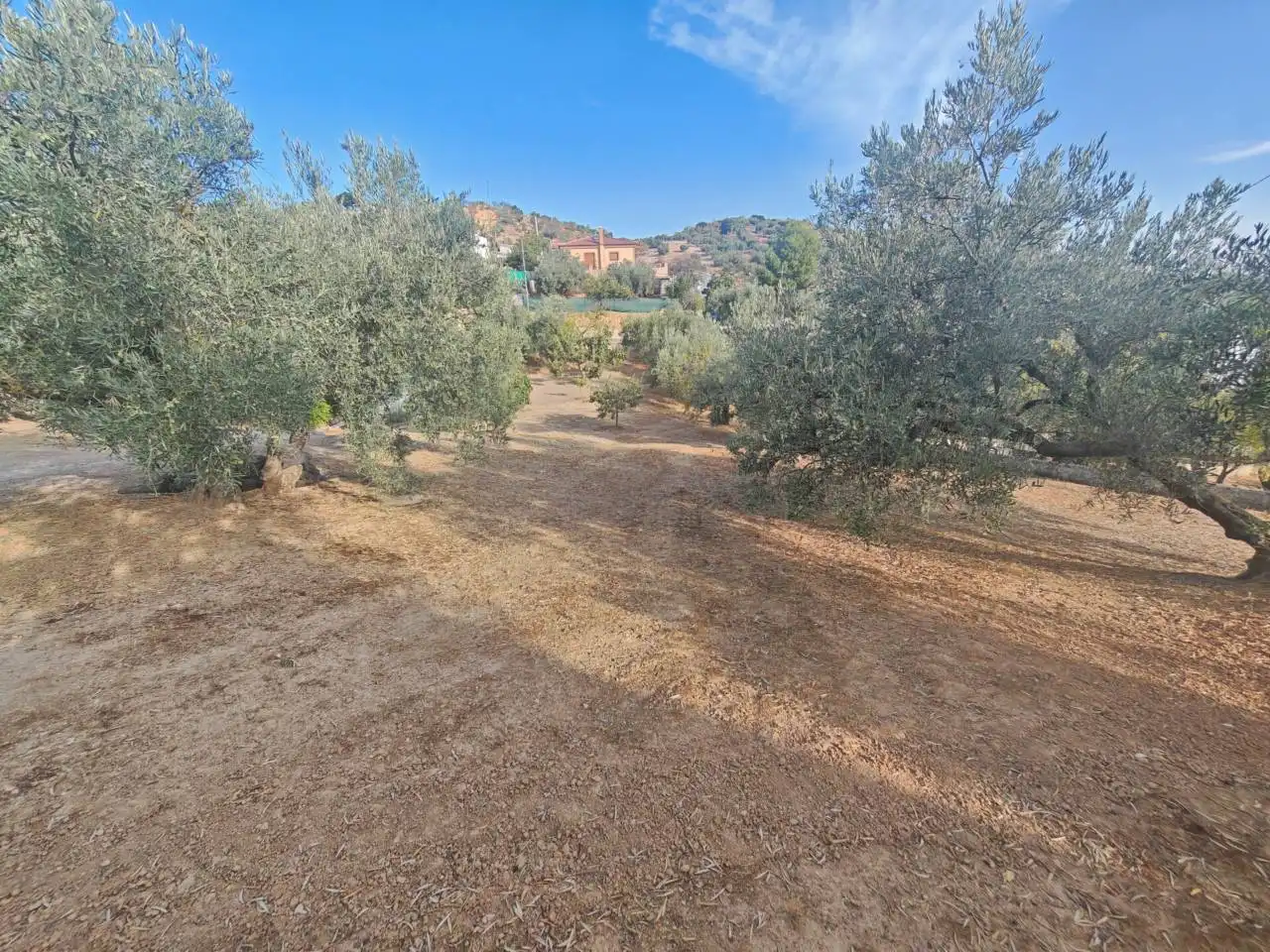 Xalet amb jardí en venda a Loja, imagen 11