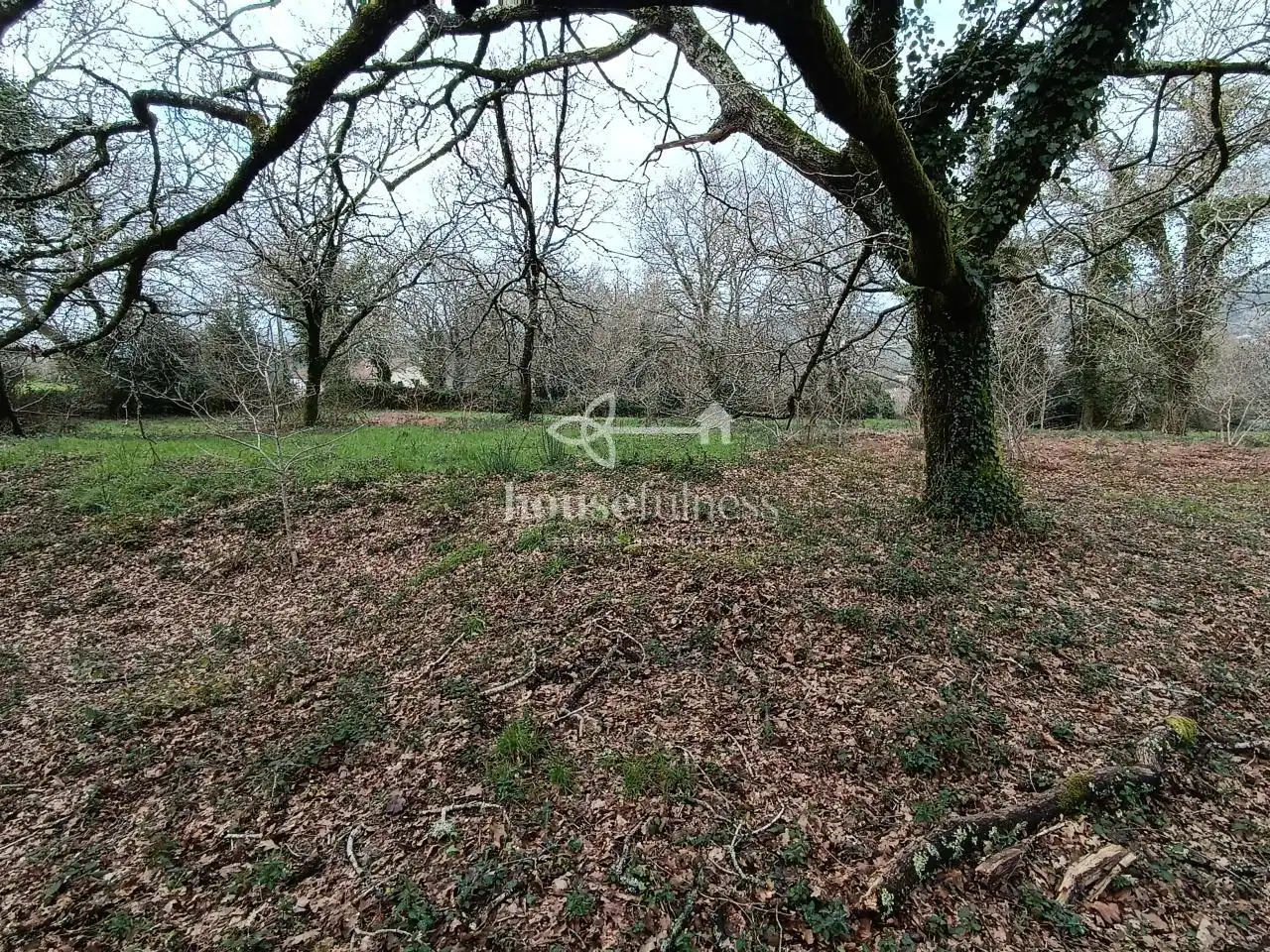 Terreni e lotti in vendita a Parroquias de Santiago, imagen 20