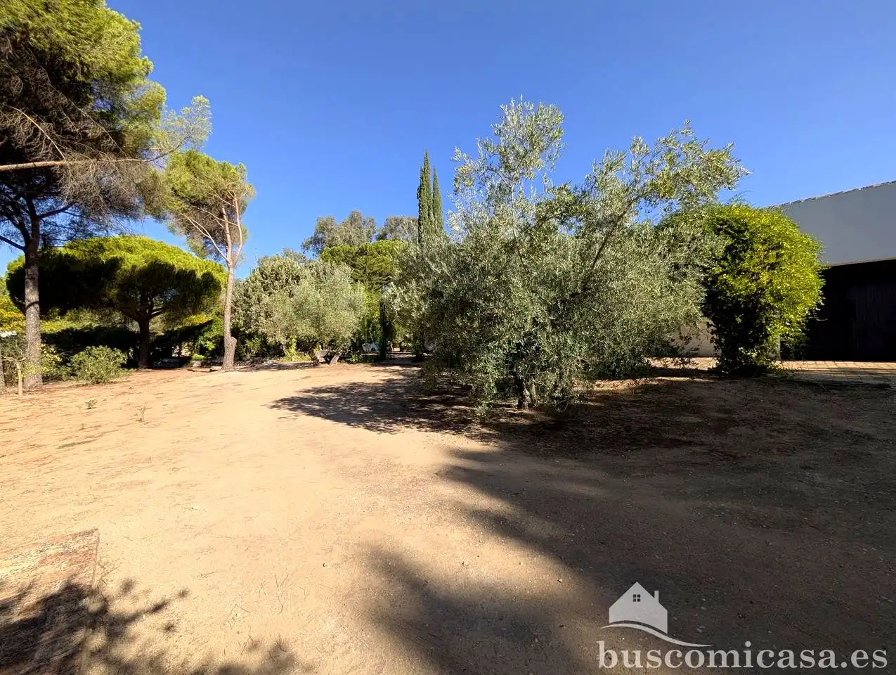 Maison rustique avec piscine à vendre à Santuario Virgen de la Cabeza, imagen 20