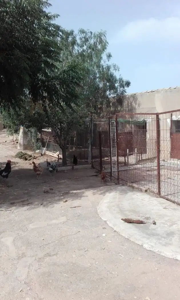 Jardí de Planta baixa en venda en Fuente Álamo de Murcia amb Traster i Moblat