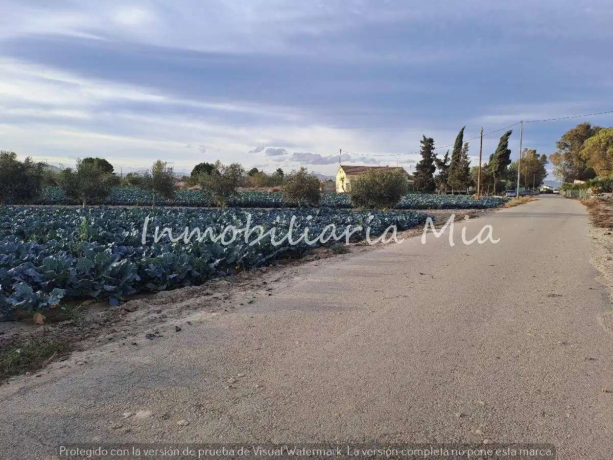 Houses for sale in Almendricos