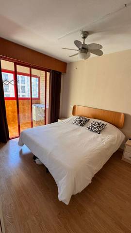 Apartamento en Alquiler en Ciutat de les Ciències i de les Arts - Justicia