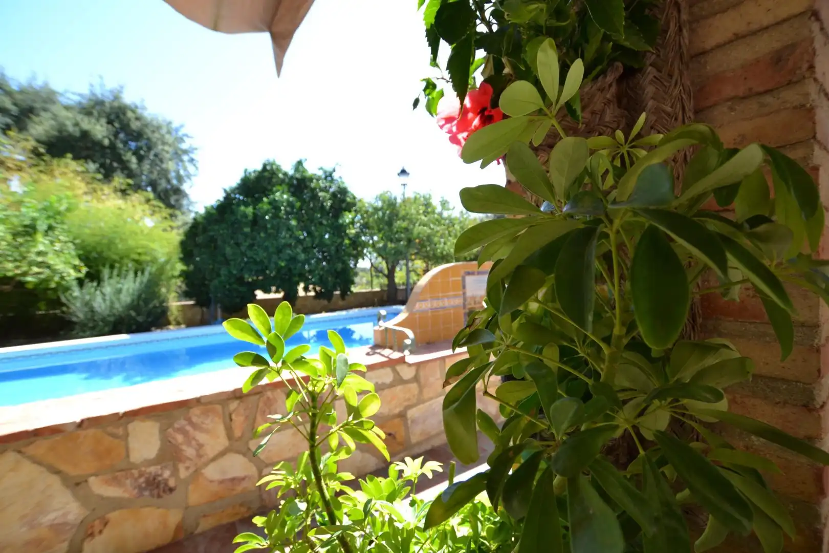 Villa con piscina in vendita a Calle Calle Santa Ana de la Albaida, imagen 48