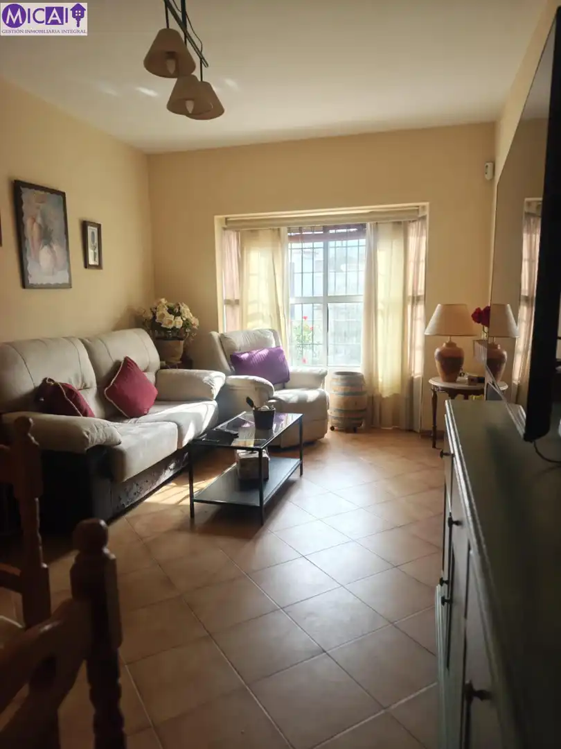 Sala de estar de Casa o chalet en venta en Chiclana de la Frontera con Jardín privado, Trastero y Piscina