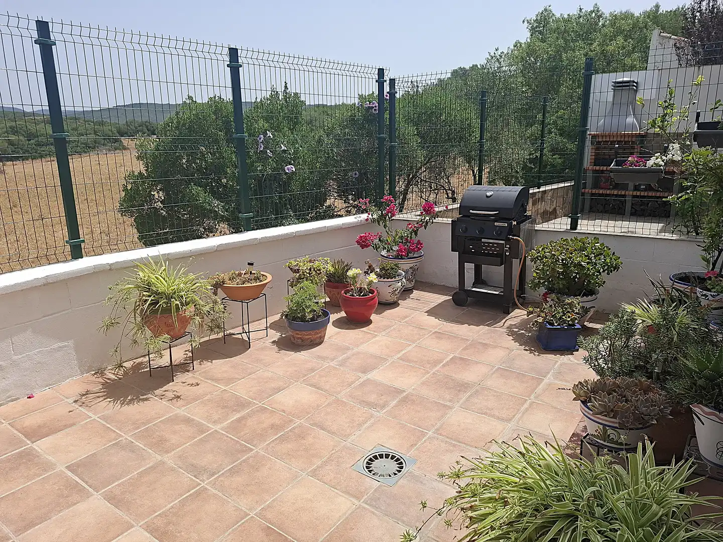 House with terrace for sale in Benalup-Casas Viejas, imagen 11