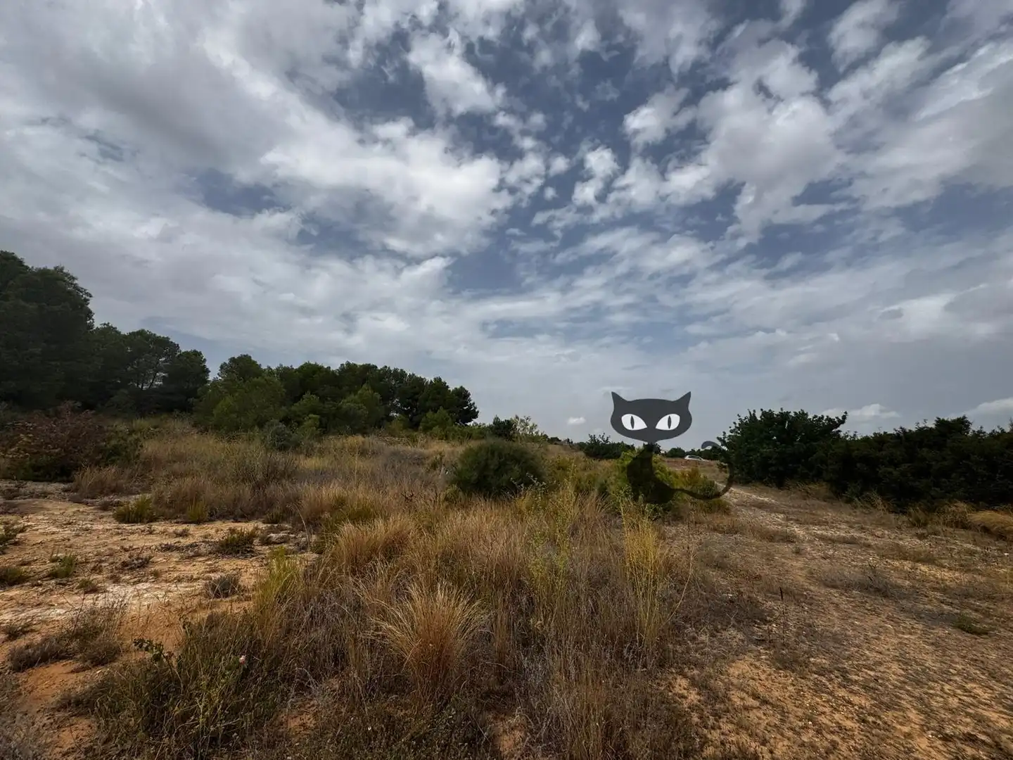 Rural land for sale in Calicanto - Cumbres de Calicanto - Santo Domingo, imagen 11