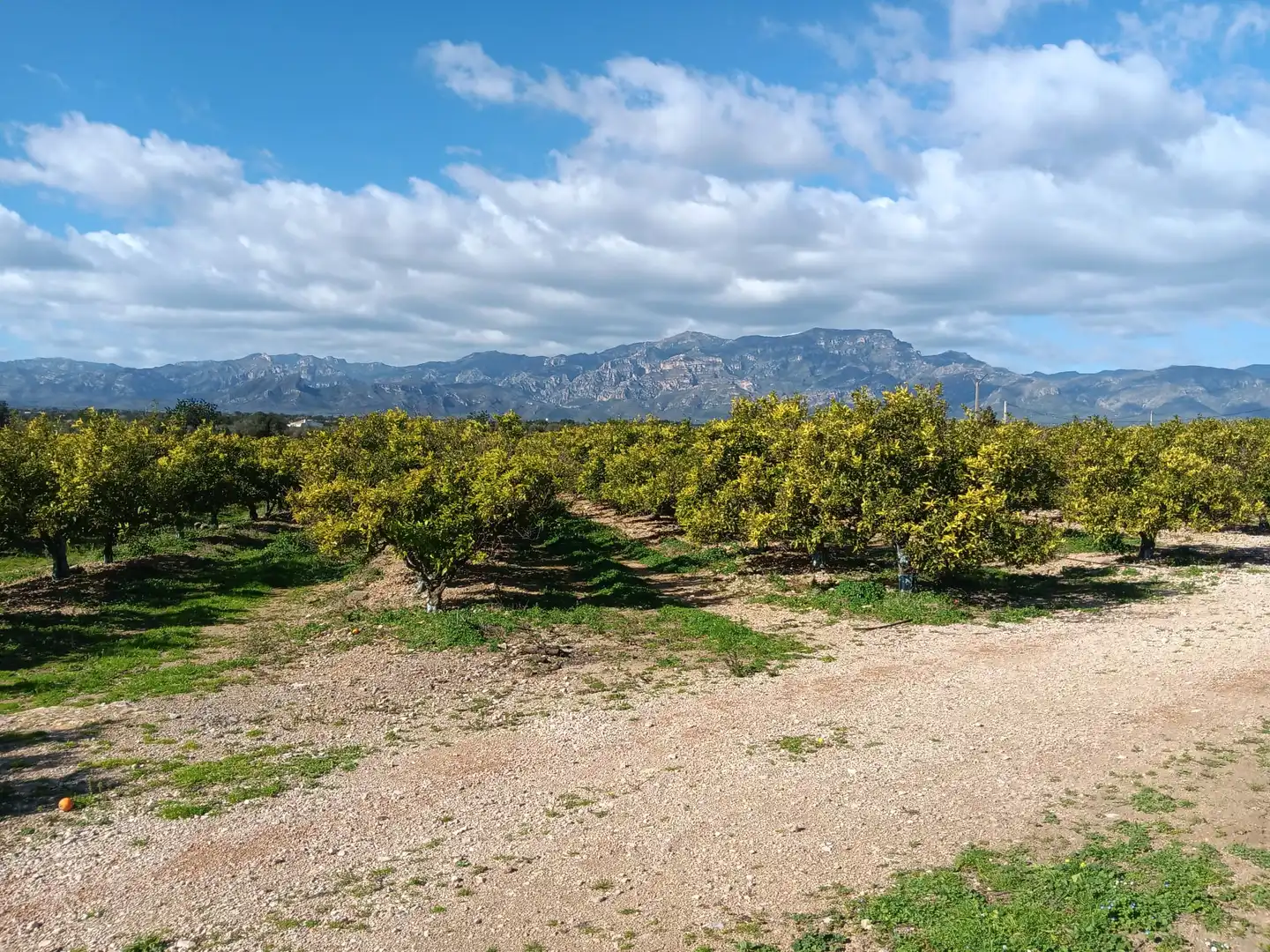 Vista exterior de Casa o xalet en venda en Tortosa amb Terrassa i Balcó