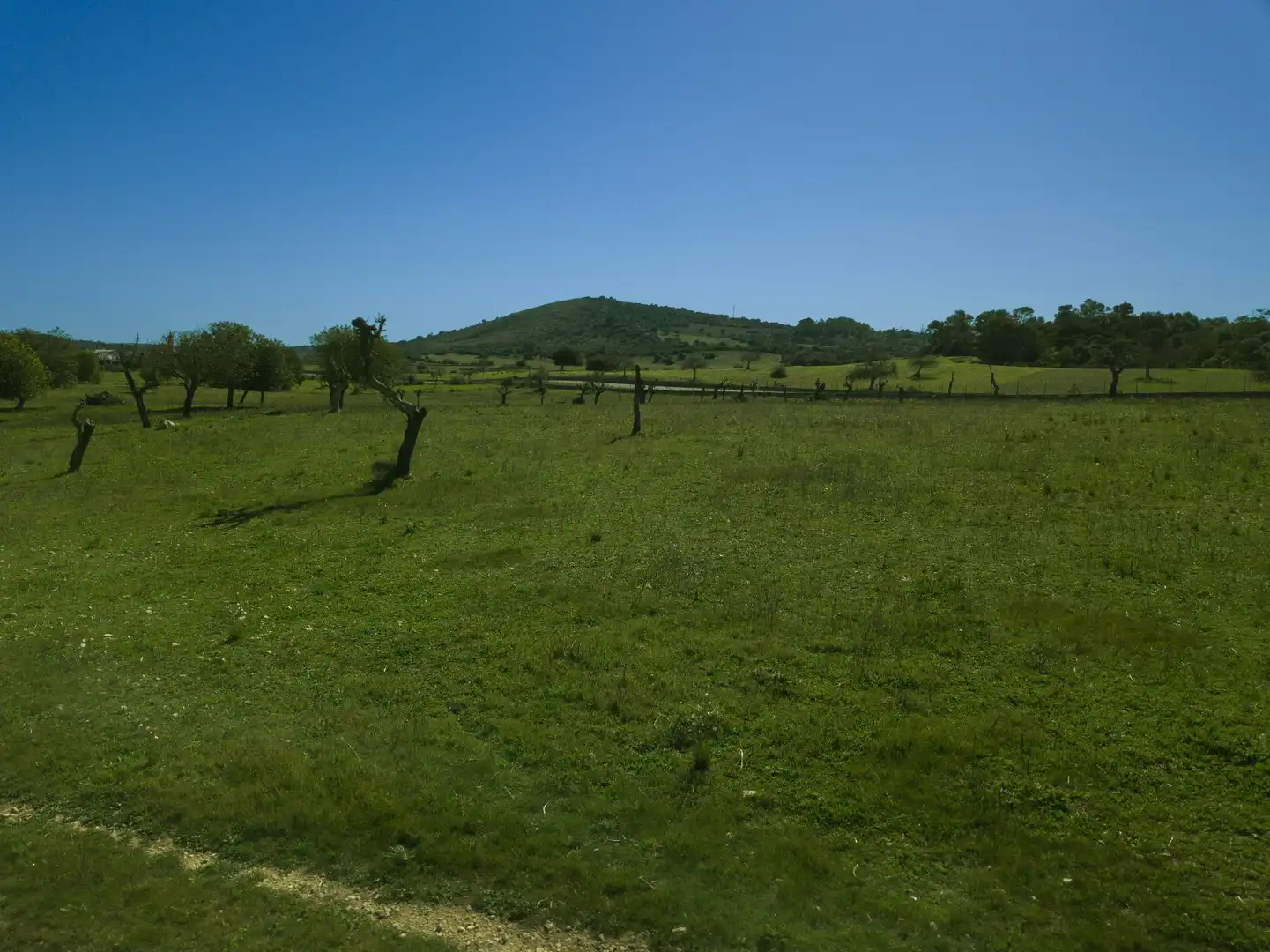 Rural land for sale in Sant Llorenç des Cardassar, imagen 18