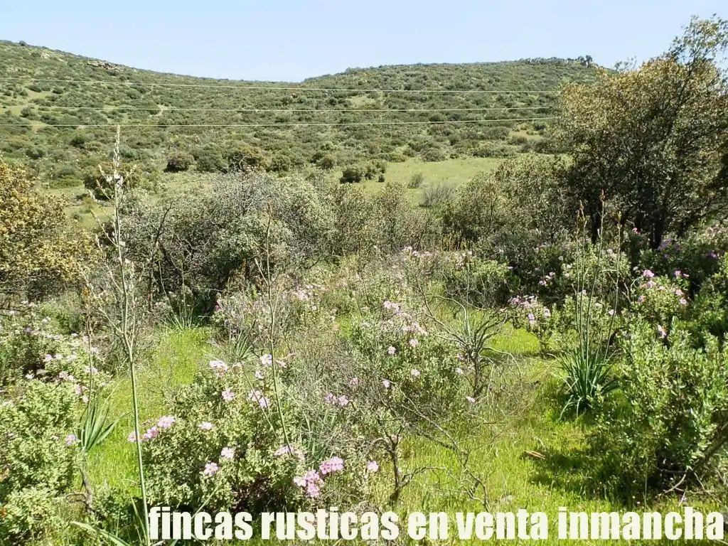 Rural land for sale in Calzada de Calatrava, imagen 20