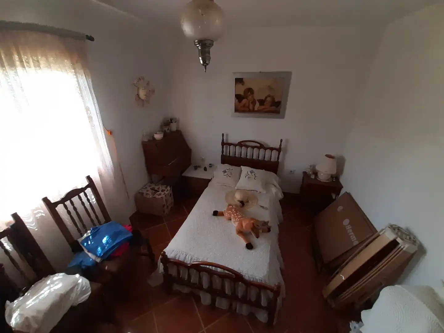Terreni e lotti in vendita a Coreses, imagen 7