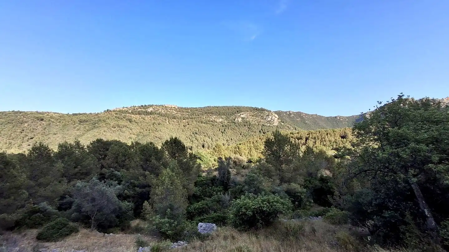 Finca rústica en venda en Cabanes amb Jardí privat, Terrassa i Piscina