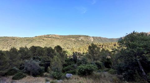 Foto 2 de Finca rústica en venda a Poligono 12, Cabanes, Castellón