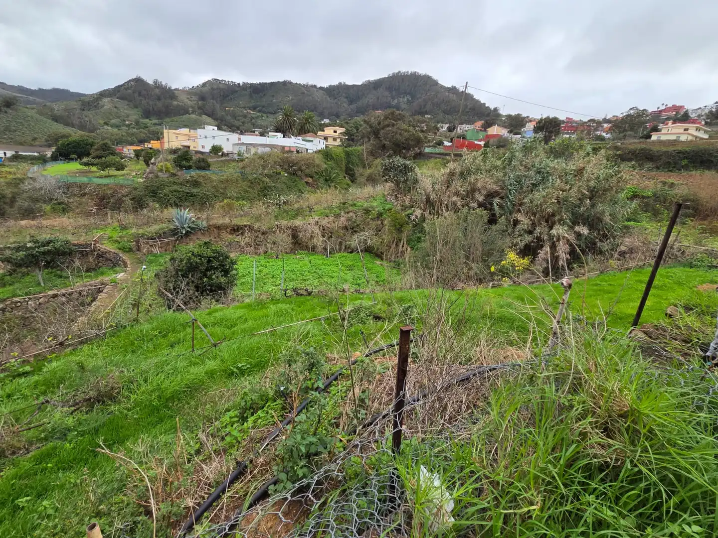 Finca rústica en venta en Tegueste