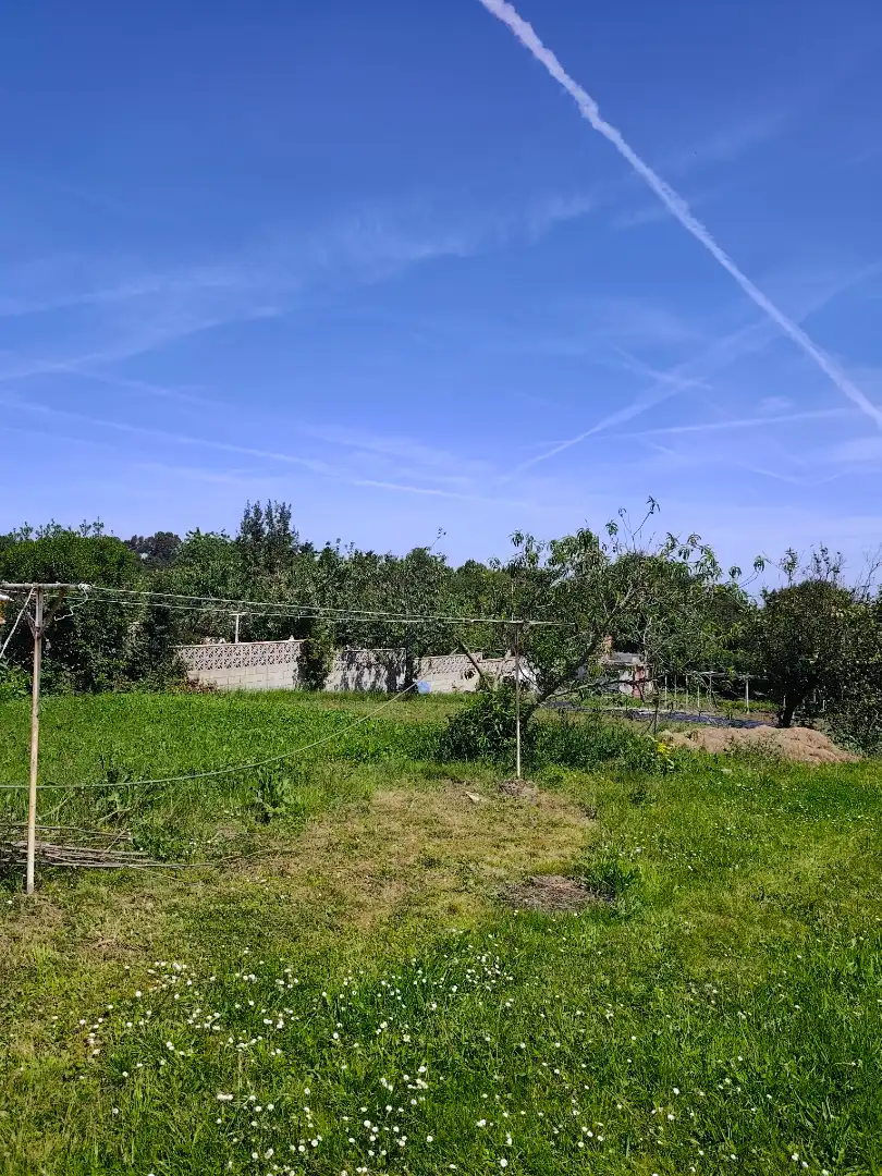 Casa o chalet en venta en Avilés con Jardín privado y Terraza