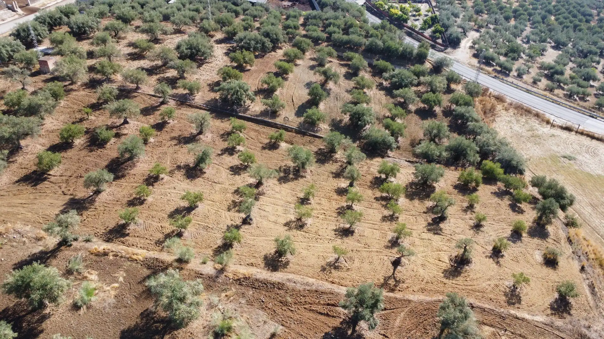 Rural land for sale in Camino la Ramita, Alhaurín de la Torre, Málaga, Spain, imagen 6