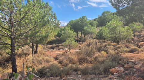 Photo 5 of Land for sale in Alcolea, Almería