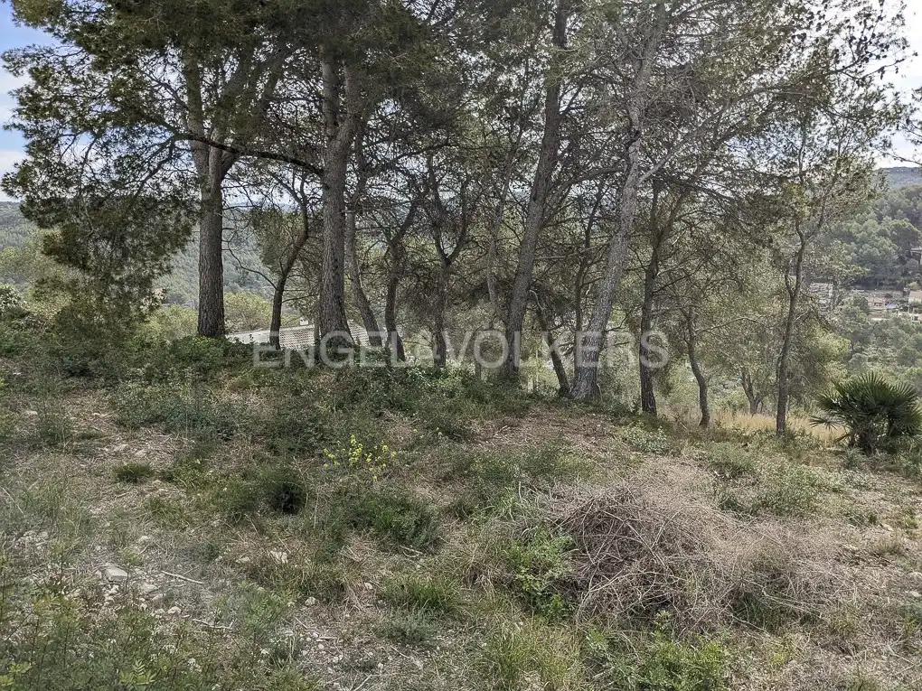 Terreno residencial en venta en Canyelles, imagen 11