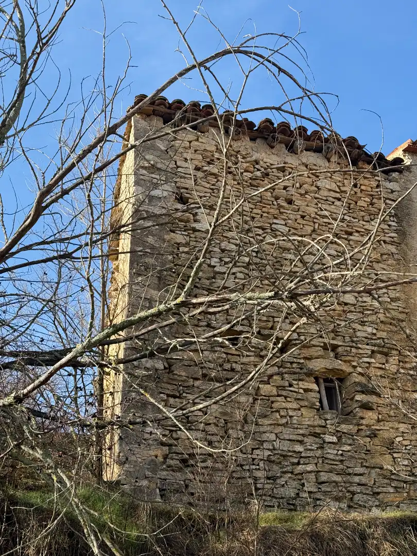 Vista exterior de Finca rústica en venta en Castielfabib