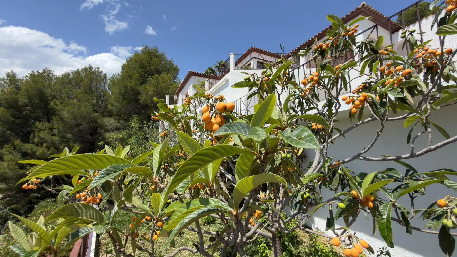 Detached house with terrace for sale in PRINCIPAL DE LA SIERRA, imagen 36