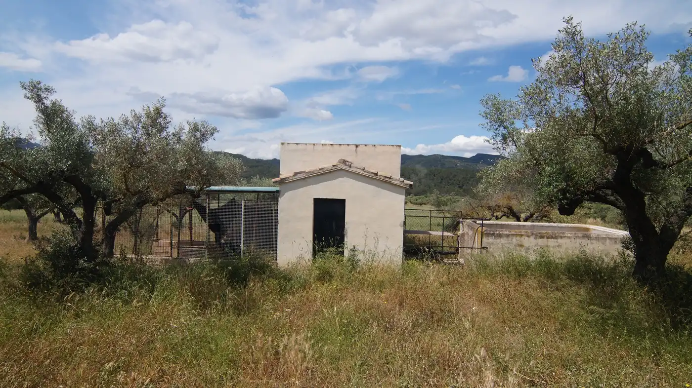 Terreno en venta en Ginestar